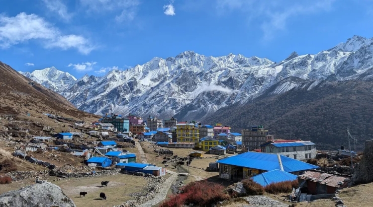 Explore Langtang Valley: Trek Cost & Mountain Magic Unveiled